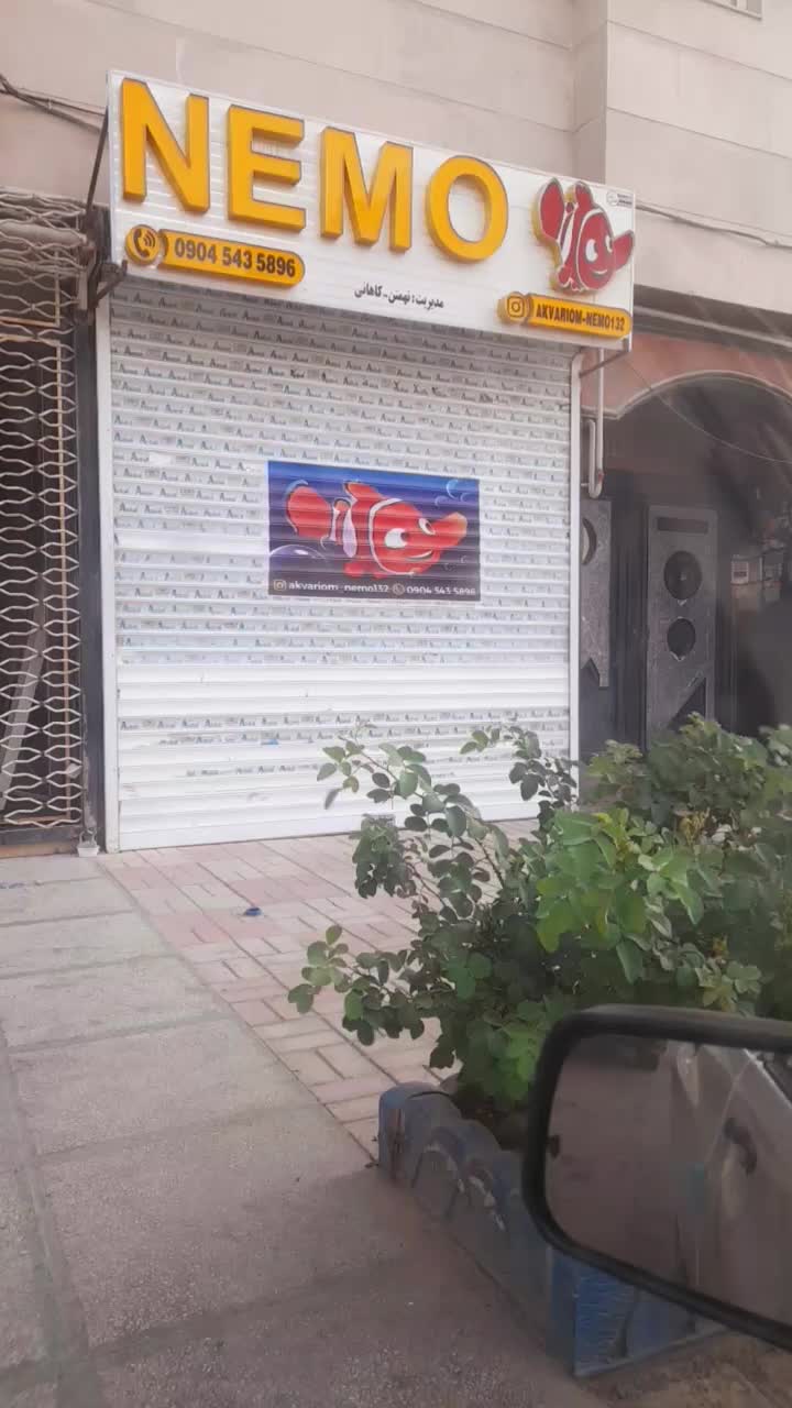 آکواریوم نمو شهرستان قوچان|ماهی|قوچان, |دیوار