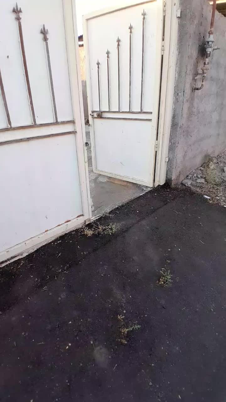 منزل مسکونی روستای بیرم اباد ۲۵کیلومتری نیشابور|فروش خانه و ویلا|طاغنکوه, |دیوار