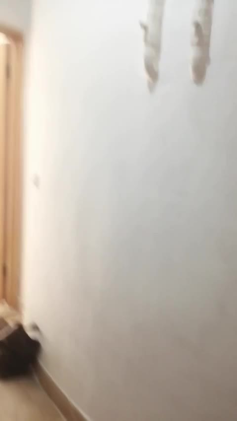 آپارتمان تمیز ، اول رضاشهر|اجارهٔ آپارتمان|مشهد, رضاشهر|دیوار