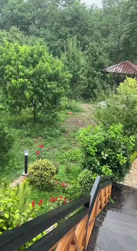 کلبه سوییسی جنگلی کادوس ،بلیران|اجارهٔ کوتاه‌مدت ویلا و باغ|آمل, |دیوار