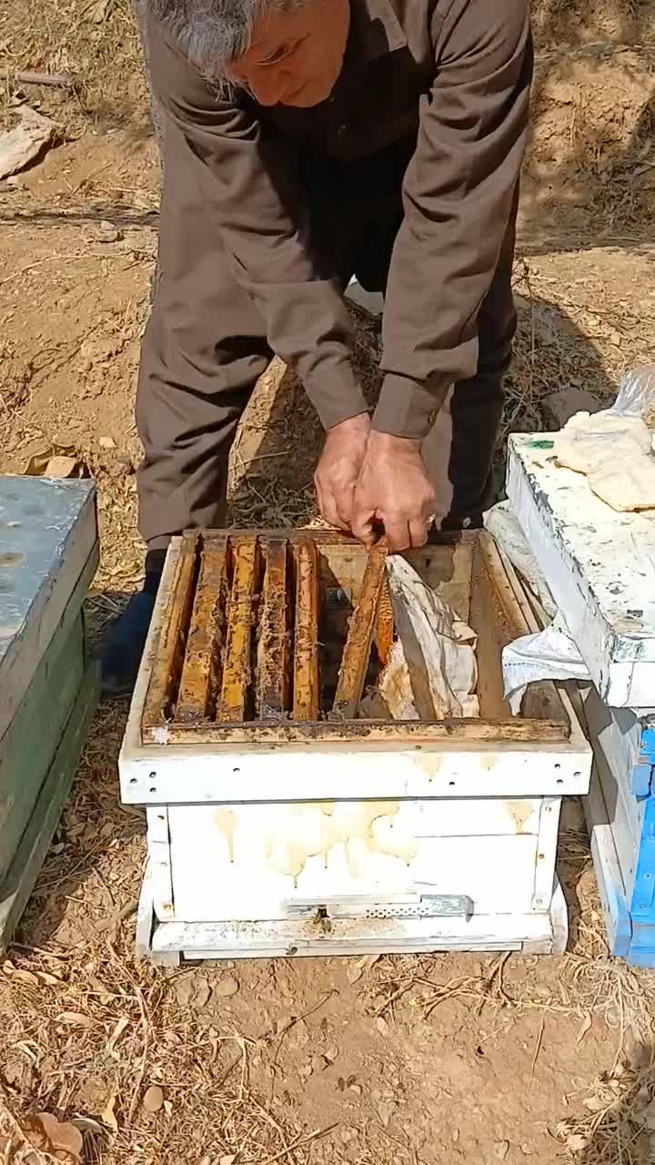 عسل طبیعی کوهستان|خوردنی و آشامیدنی|بانه, |دیوار