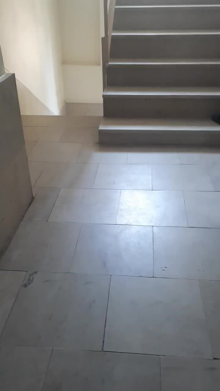 ۵۰ متری / ۴ طبقه تک واحدی / کوچه دنج و خلوت|فروش آپارتمان|تهران, گرگان|دیوار