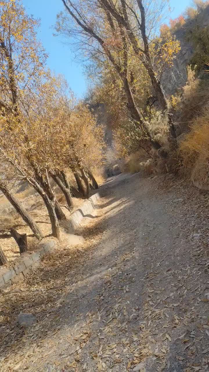 kxf|موتورسیکلت|نیشابور, مدرس|دیوار