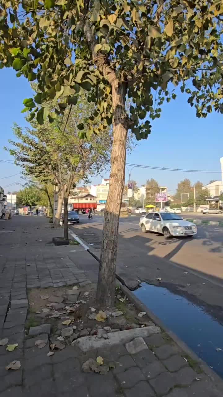 اجاره مغازه بر اصلی رسالت صدا وسیما بالکن دار|اجارهٔ مغازه و غرفه|رشت, رودبارتان|دیوار