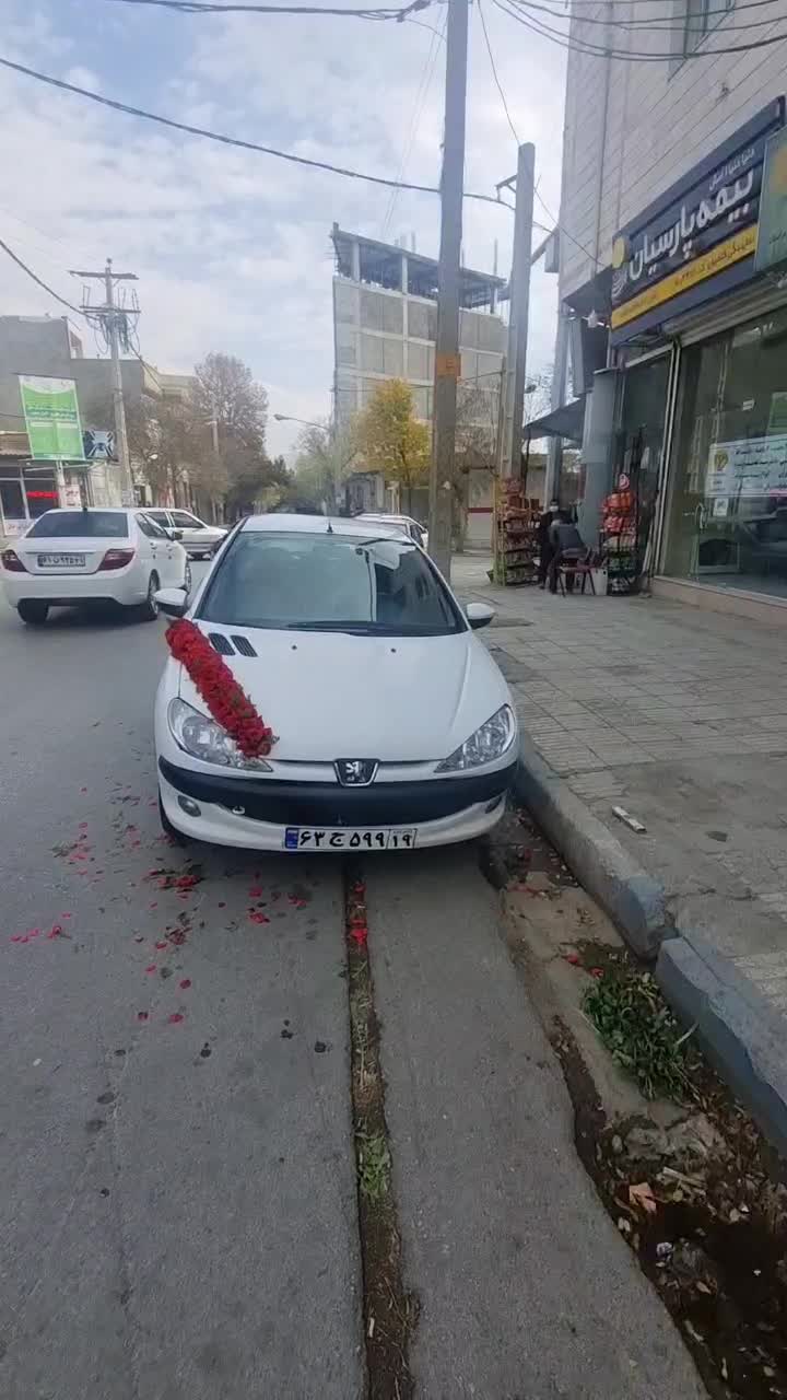 206 sd v8|خودرو سواری و وانت|کرمانشاه, |دیوار