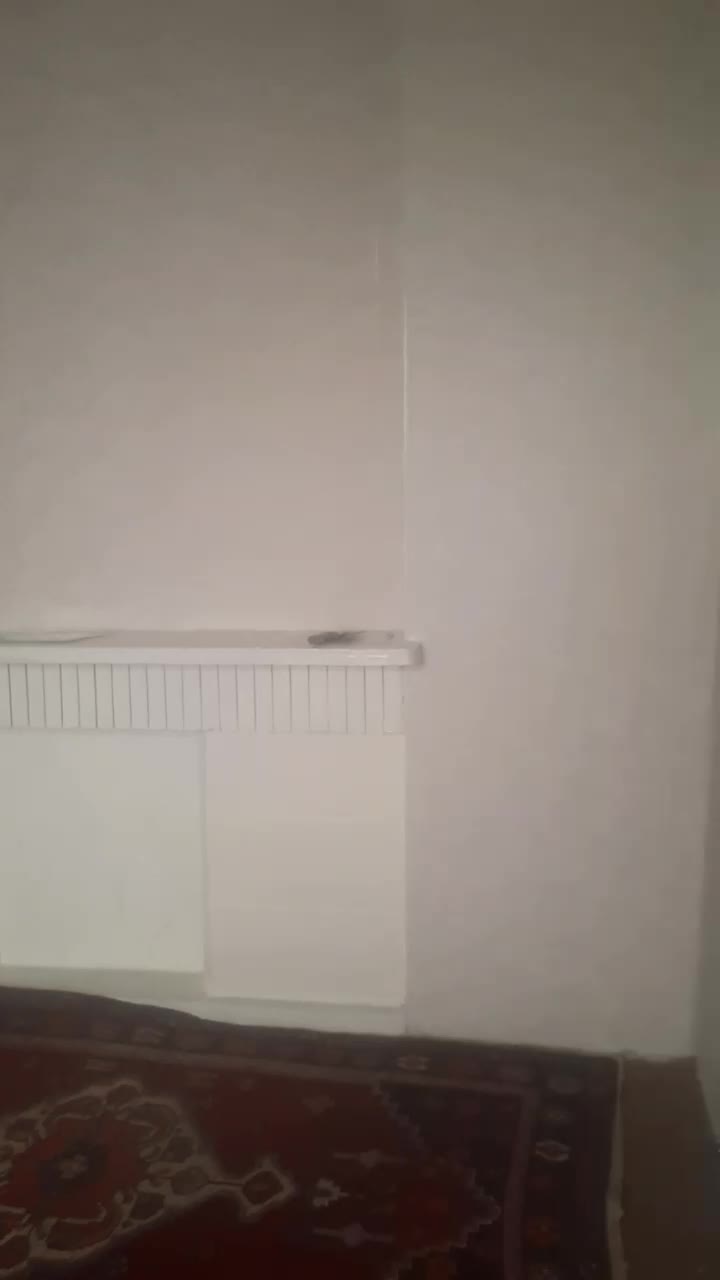 خانه دربست دوطبقه|فروش خانه و ویلا|تهران, بیسیم|دیوار