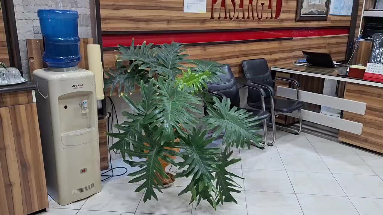 فروش ششدانگ مغازه اصلی عاشوری|فروش مغازه و غرفه|بوشهر, |دیوار