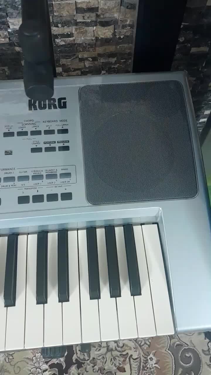 ارگ پی پنجاه تبدیل 80برازجان|پیانو، کیبورد، آکاردئون|برازجان, |دیوار