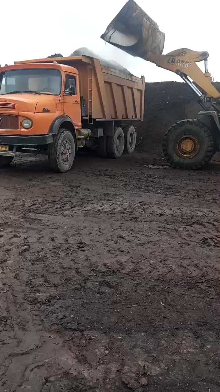 کود حیوانی|خدمات باغبانی و درختکاری|رشت, لاکان|دیوار