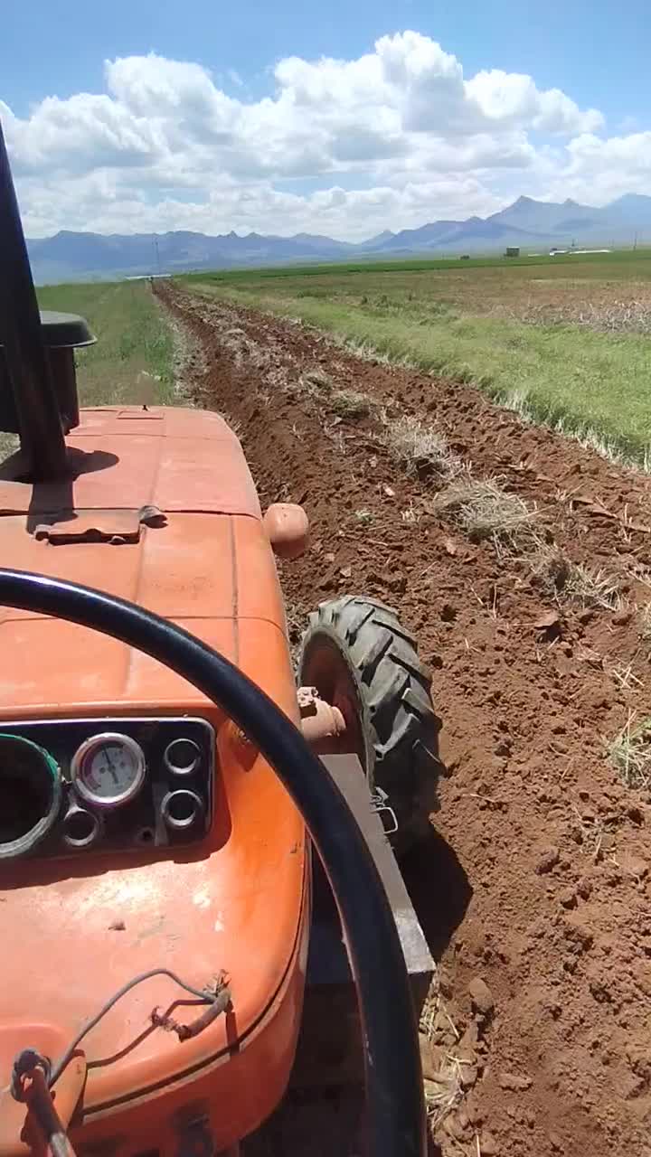 تراکتور رومانی موتور پرکنز 6 سیلندر و جفت دیفر|خودرو سنگین|قروه, |دیوار