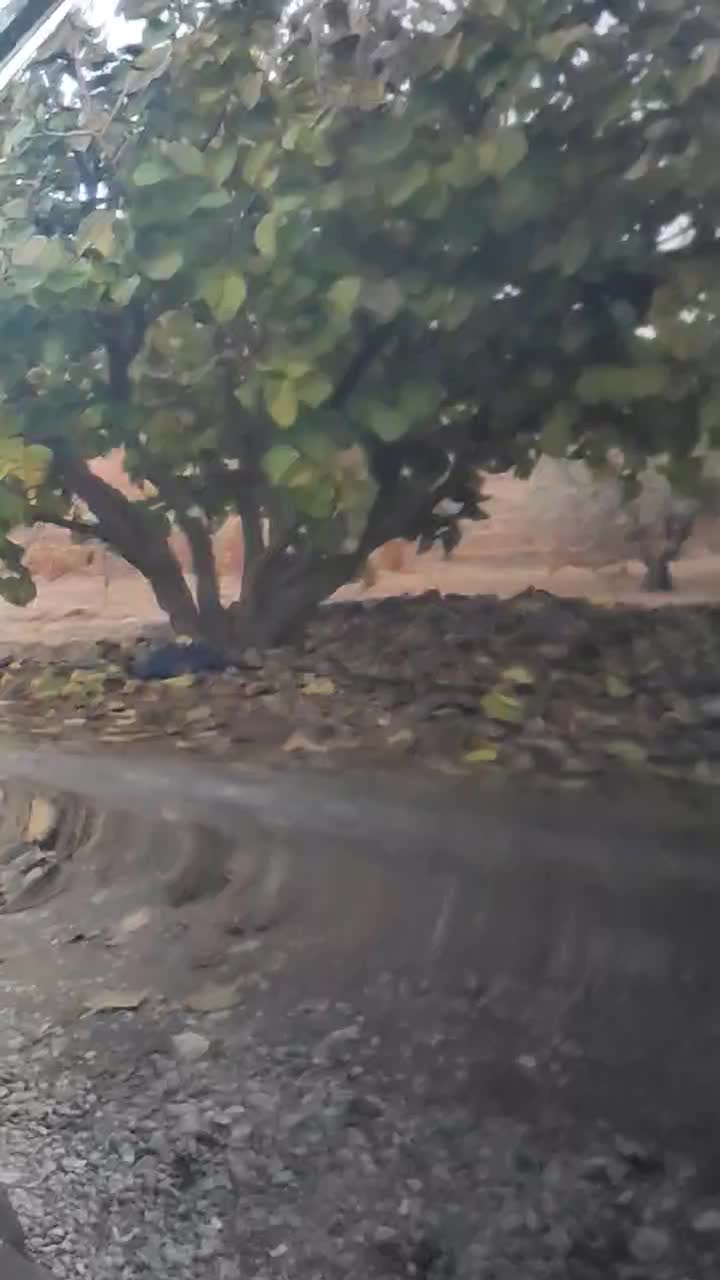 405مشکی آبنوس 84|خودرو سواری و وانت|سنندج, |دیوار