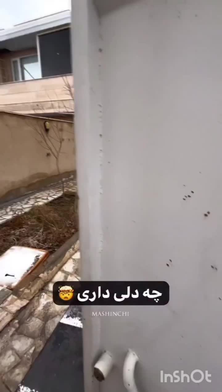 دوربین لامپی|دوربین مداربسته|آبادان, |دیوار