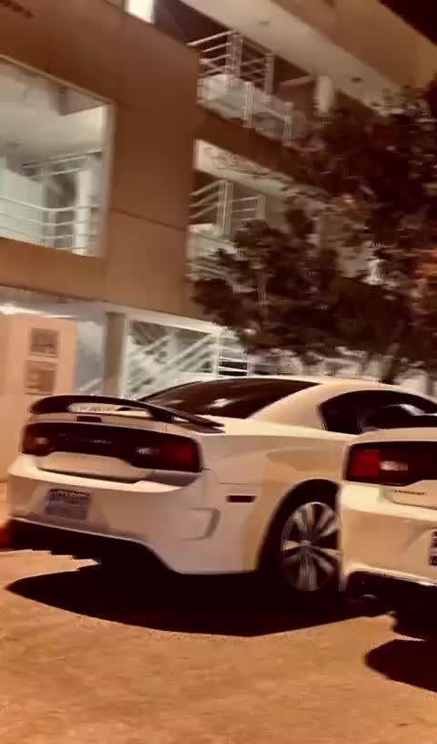 اجاره خودرو/دوج/فورد/رنت ماشین|خودرو اجارهای|کیش, |دیوار