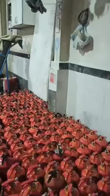 شارژ و فروش کپسول آتش نشانی سراسر تهران|خدمات پیشه و مهارت|تهران, خواجه نصیر طوسی|دیوار