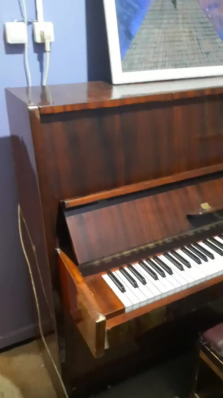 پیانوی کلاسیک|پیانو، کیبورد، آکاردئون|رشت, گلسار|دیوار