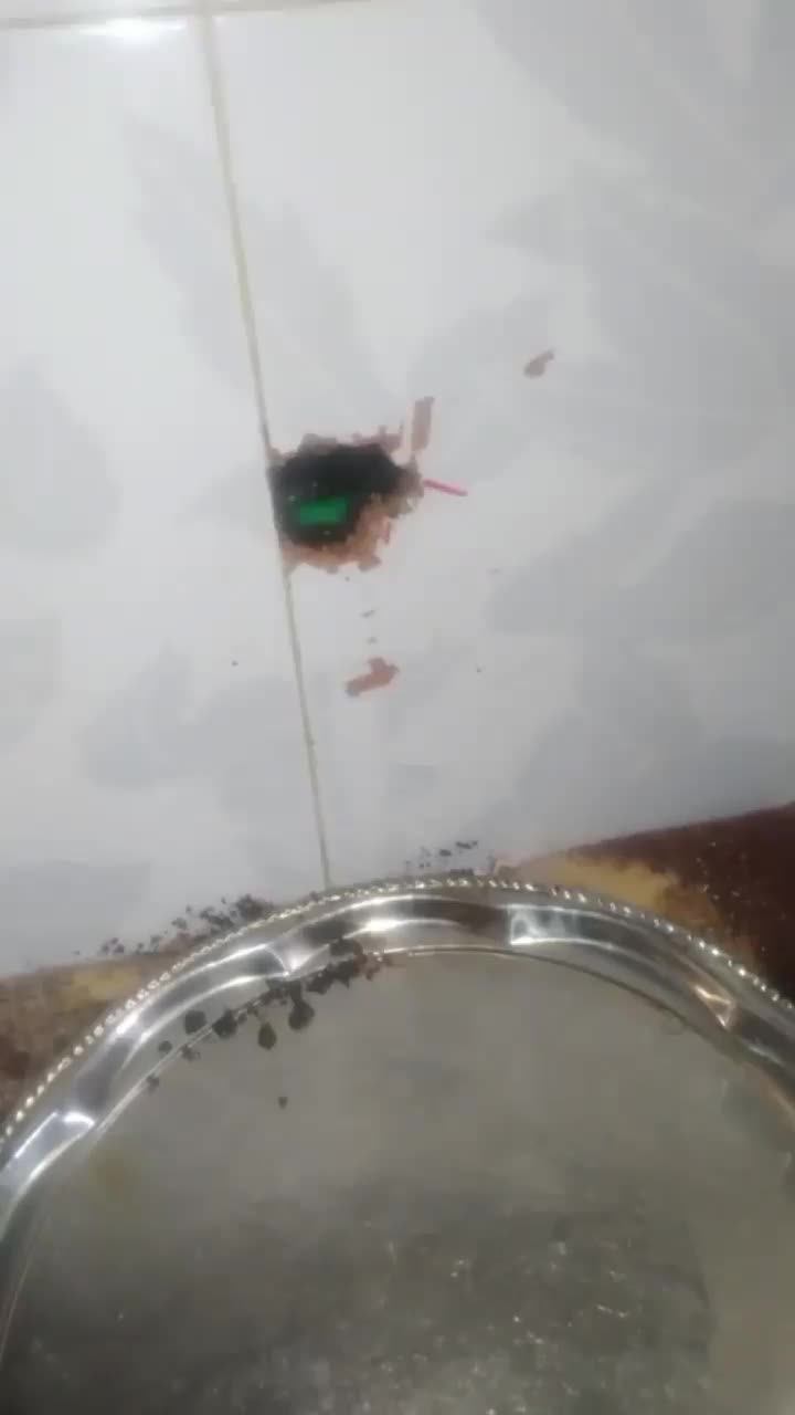 نشت یابی  ولوله بازکنی|خدمات پیشه و مهارت|شهرکرد, |دیوار