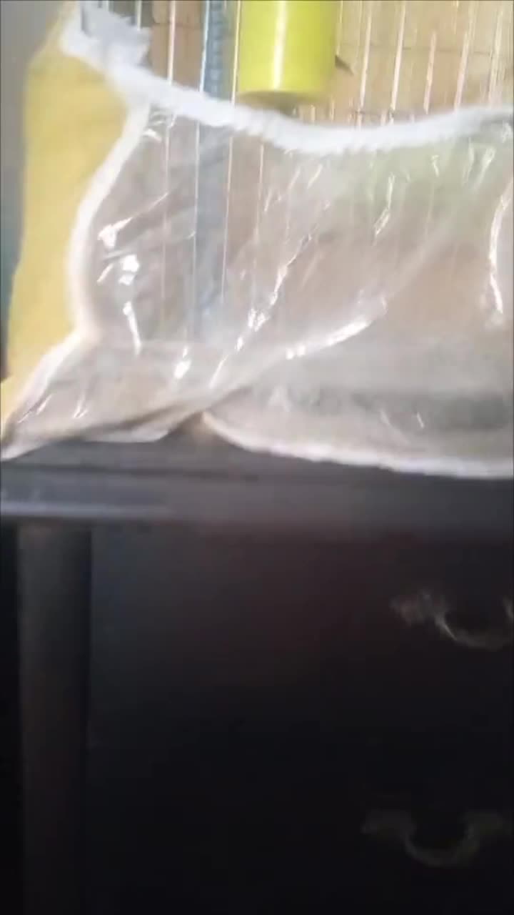 معاوضه مرغ عشق ماده با نر|پرنده|صدرا-فارس, فاز ۱|دیوار