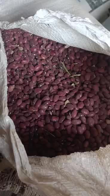 لوبیا|خوردنی و آشامیدنی|اصفهان, شاهزاده ابراهیم|دیوار