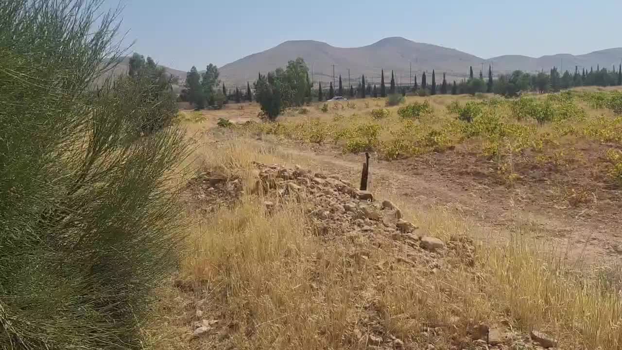 باغ انگور سر راه بردج فروش یا نعاوضه|فروش زمین و ملک کلنگی|شیراز, شهدای شهرک سعدی|دیوار