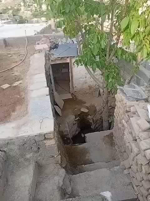 سگ ژرمن|سگ|بومهن, |دیوار