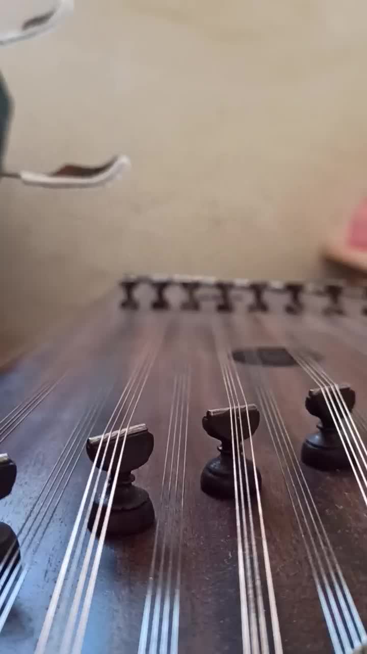 سنتور|سازهای سنتی|شیراز, جوادیه|دیوار