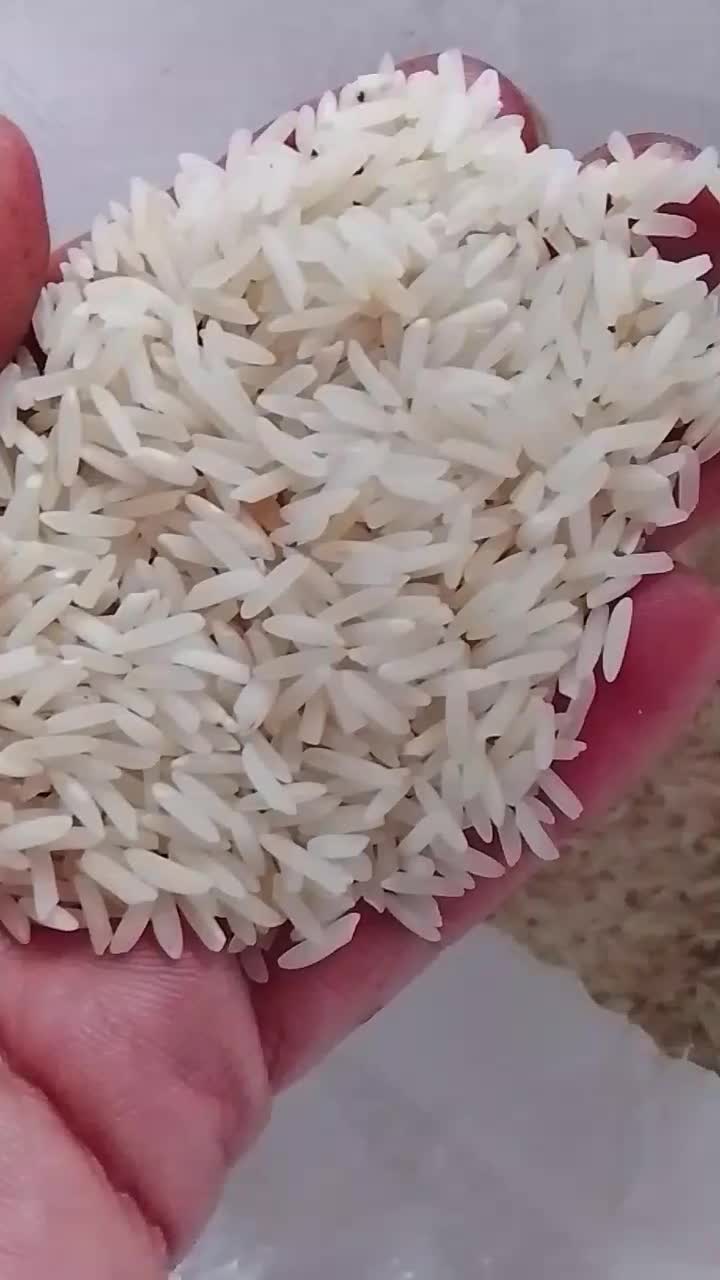 فروش برنج سنگ طارم محلی|خوردنی و آشامیدنی|بهشهر, |دیوار