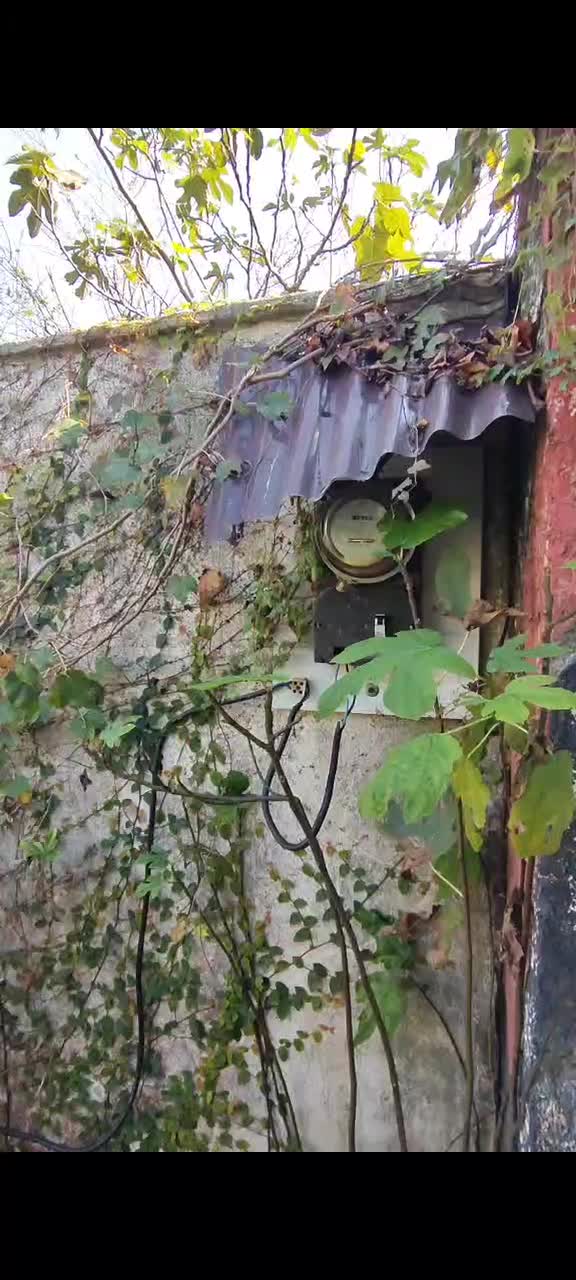 ویلا ۱۰۰ متری و زمین ۳۰۰متر|فروش خانه و ویلا|رشت, پیرسرا|دیوار