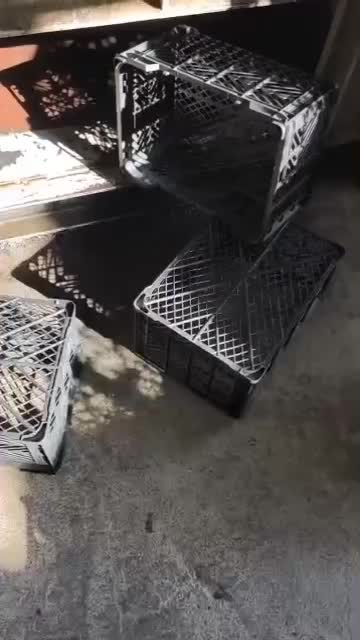 داراب و زرین دشت و .بخش فورگ و بخش رستاق|عمده‌فروشی|فورگ, |دیوار