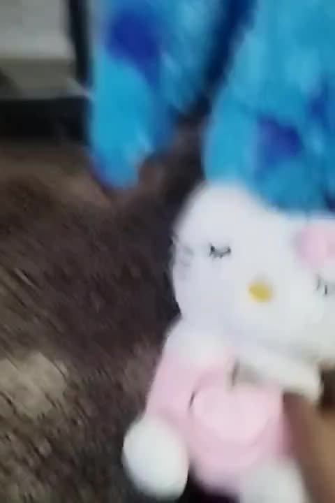 فروش عروسک بزرگ سالیوان و چن تا عروسک دیگه|اسباببازی بچه|اردبیل, |دیوار