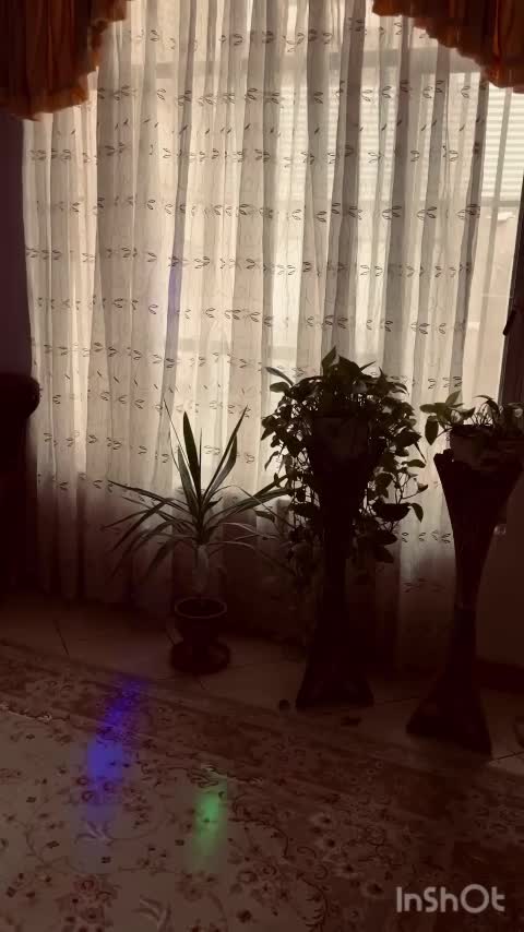 اجاره روزانه وساعتی خانه دربست ویلایی فول امکانات|اجارهٔ کوتاه‌مدت آپارتمان و سوئیت|مشهد, توس (بلوار توس)|دیوار