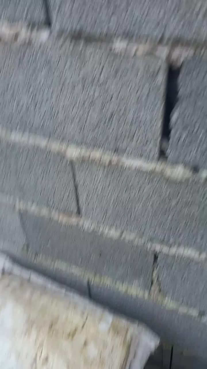 کندو عسل|حیوانات مزرعه|رشت, نخودچر|دیوار