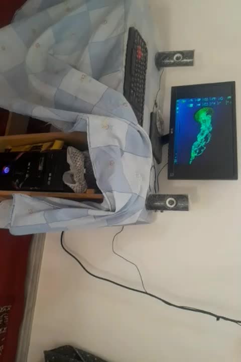 ازنو|رایانه رومیزی|مشهد, فرودگاه|دیوار