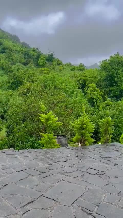 کلبه سویسی جنگلی بابلکنار|اجارهٔ کوتاه‌مدت ویلا و باغ|بابل, |دیوار