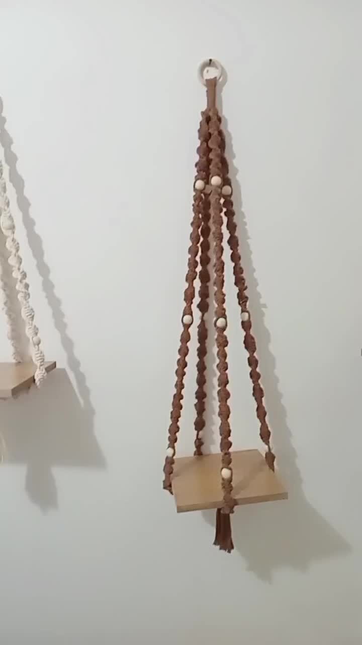 اویزگلدان|گل و گیاه طبیعی|رشت, انصاری|دیوار