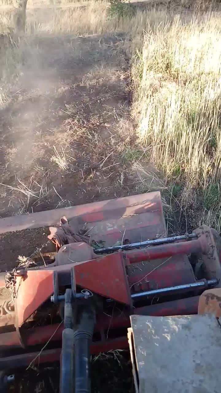 کاربا تراکتور باغی|خدمات باغبانی و درختکاری|قزوین, |دیوار