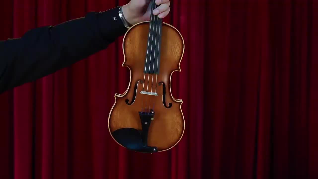 ویولن دست ساز تانگ لینگ|ویولن|شیراز, پارک آزادی|دیوار