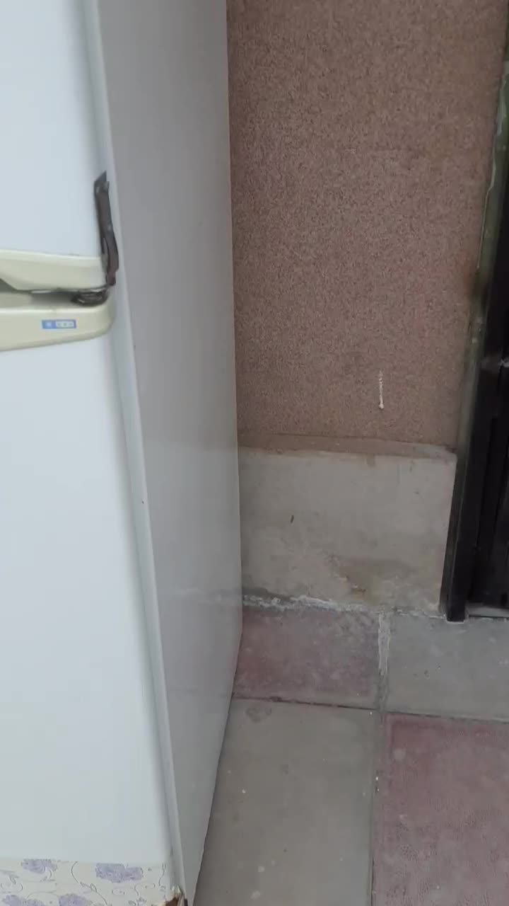 یخچال قریزر سایوان|یخچال و فریزر|هشتگرد, شهرک پامچال|دیوار