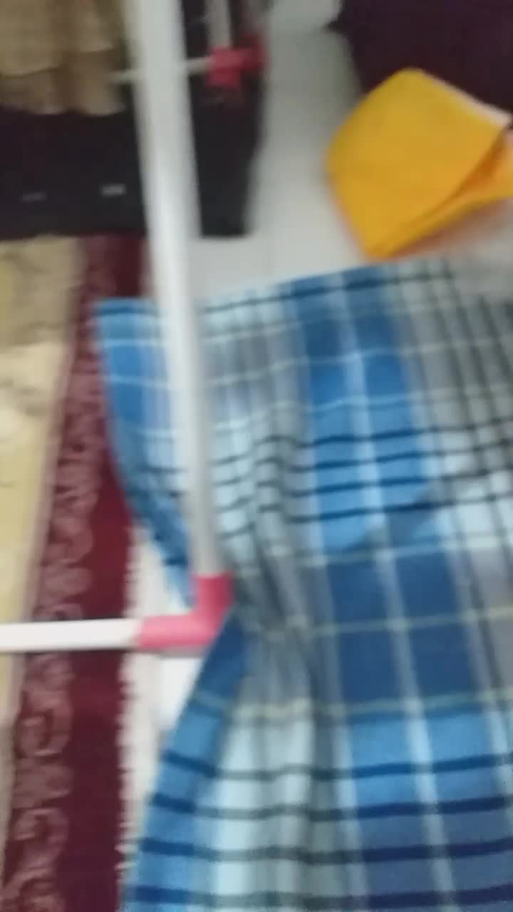 عروس هلندی مولد نر و ماده (سفید لوتینو)|پرنده|رشت, حمیدیان|دیوار