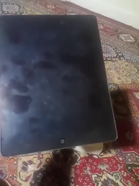 ipad|تبلت|گلستان (تهران), |دیوار
