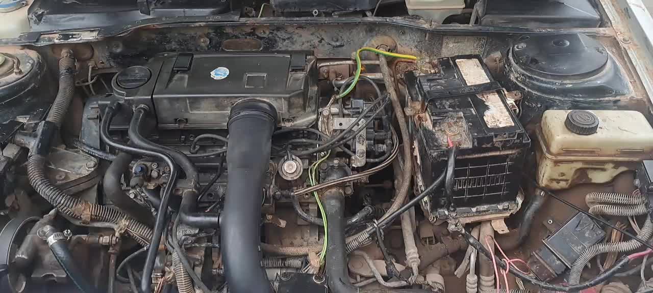 پژو ۴۰۵ مدل ۸۱|خودرو سواری و وانت|مشهد, شهرآرا|دیوار