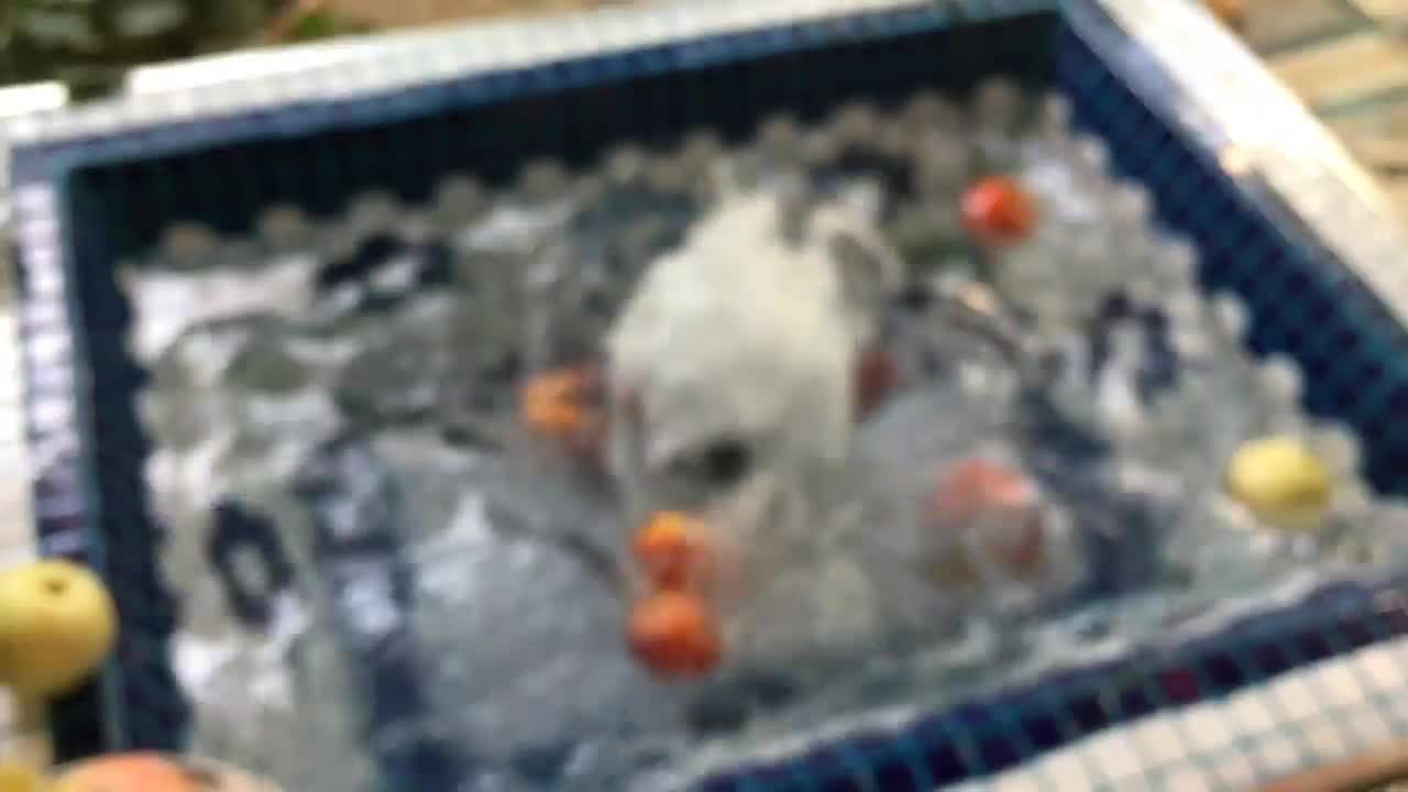 حوض|مصالح و تجهیزات ساختمان|دیواندره, |دیوار