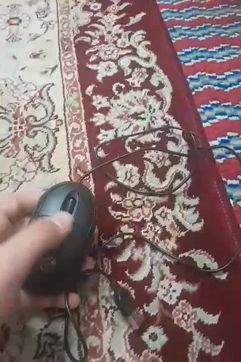 موس لپتاپ|قطعات و لوازم جانبی رایانه|یزد, |دیوار