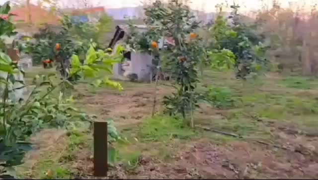 معاوضه زمین مسکونی باآپارتمان درشهرک فجر/بوعلی/نور|فروش زمین و ملک کلنگی|تهران, آرارات|دیوار