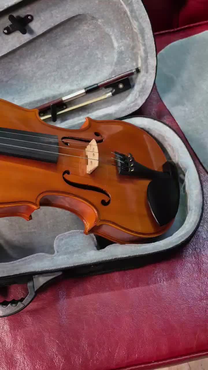 ویالون نو و خوش صدا|ویولن|شهریار, شهریار|دیوار