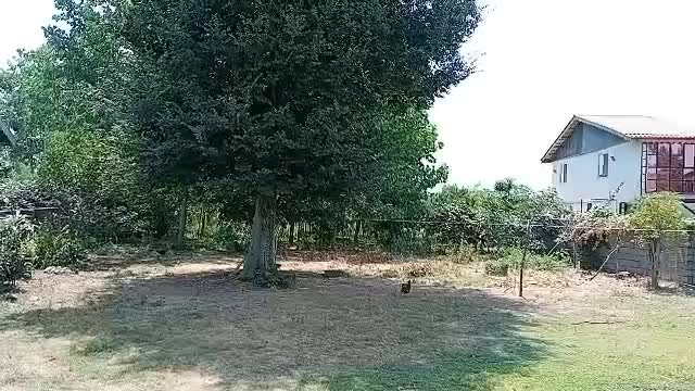 فرصتی استثنایی برای سرمایه گذاری مطمئن|اجارهٔ دفتر صنعتی، کشاورزی، تجاری|تهران, فرودگاه مهرآباد|دیوار