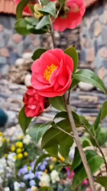 منزل مبله.خانه مبله.منزل اجاره ای.سوییت اجاره ای|اجارهٔ کوتاه‌مدت آپارتمان و سوئیت|اصفهان, آبشار|دیوار