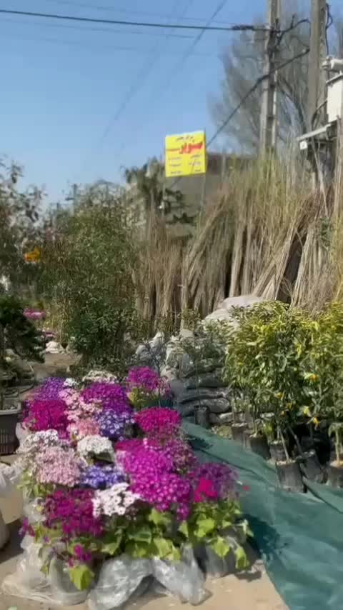 خاک کمپوست خاک گل بیرونی وآپارتمانی،کوکوپیت،پرلیت|خدمات باغبانی و درختکاری|لاهیجان, کوی آزادگان|دیوار