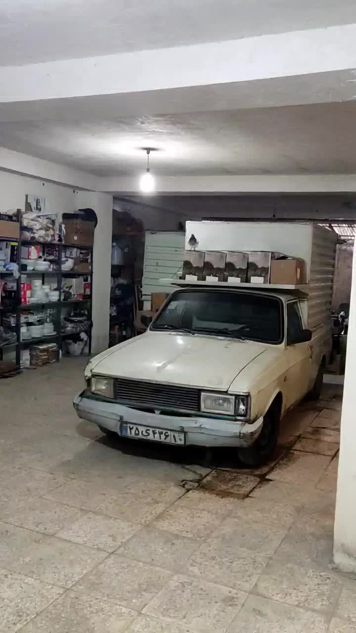 کبوتر ،کفتر|پرنده|وحیدیه, |دیوار