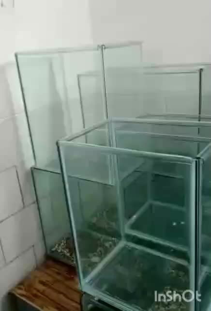 اکواریم نو متنوع|ماهی|یزد, |دیوار