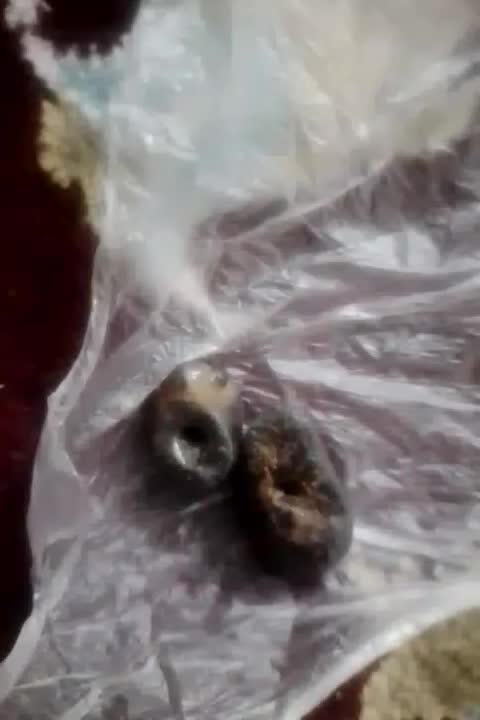 سنگ شهاب سنگ اصل تضمینی|کلکسیون اشیاء عتیقه|یاسوج, |دیوار